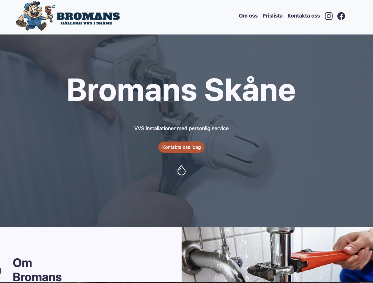 Bromans